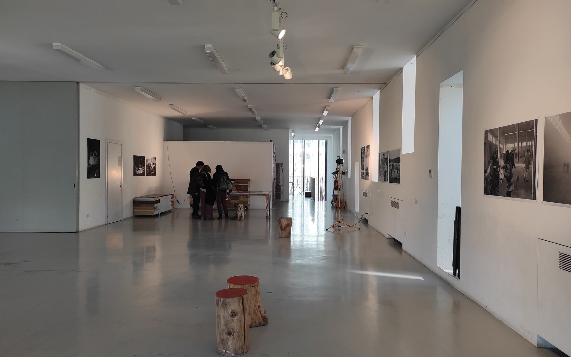 Sala Paolo Fareri al primo piano
